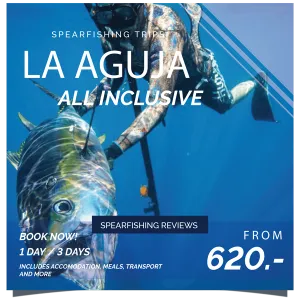 Dive in Rancho La Aguja - Pacific