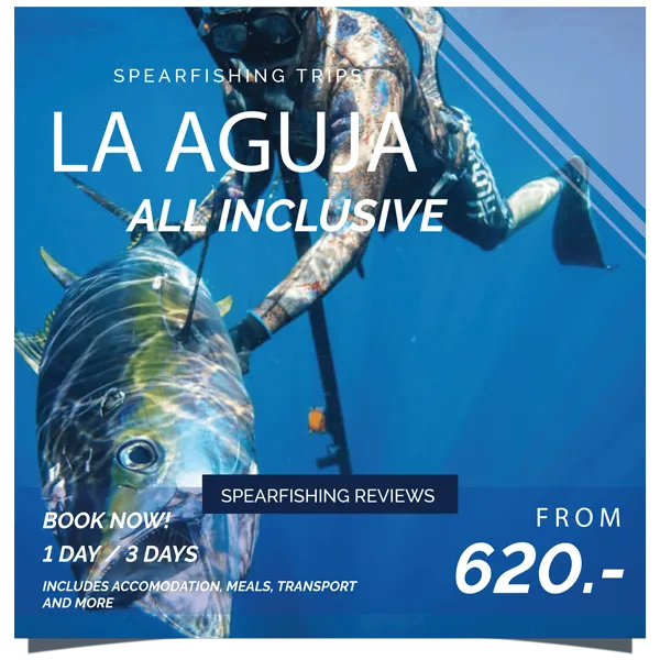 Dive in Rancho La Aguja - Pacific