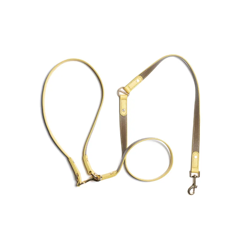Rosy Hands-Free Dog Leash
