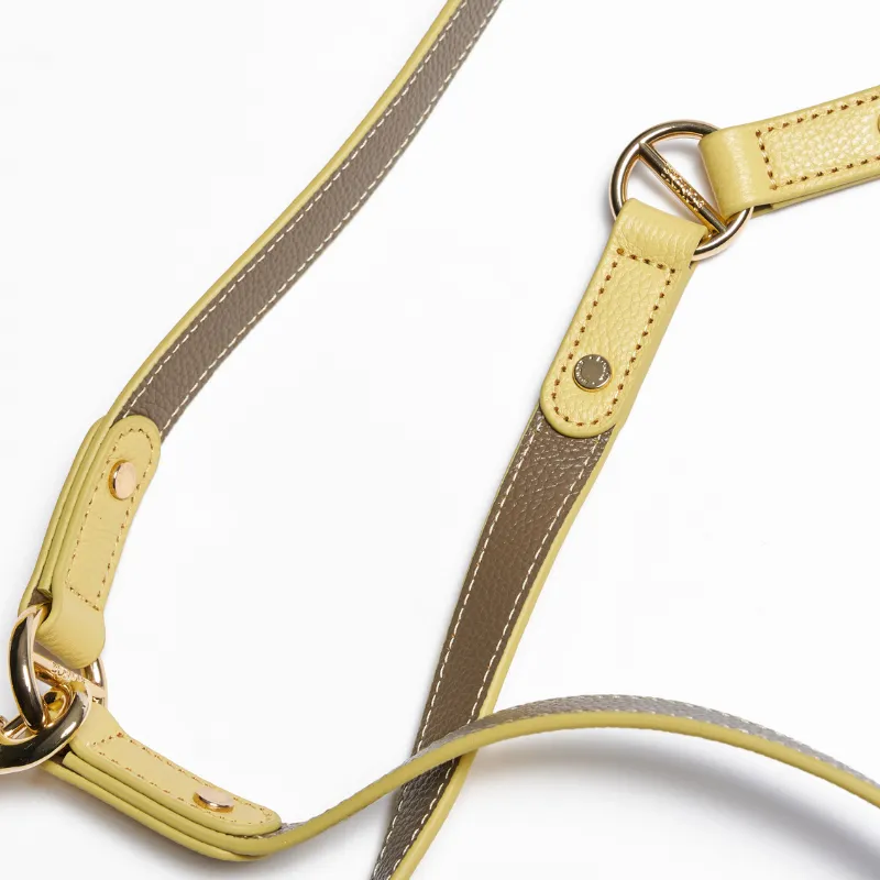 Rosy Hands-Free Dog Leash