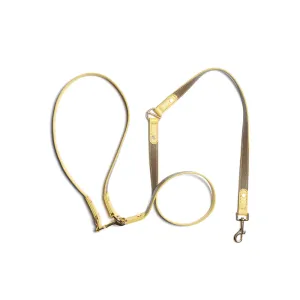 Rosy Hands-Free Dog Leash